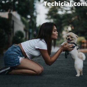 liquid glucosamine for dogs