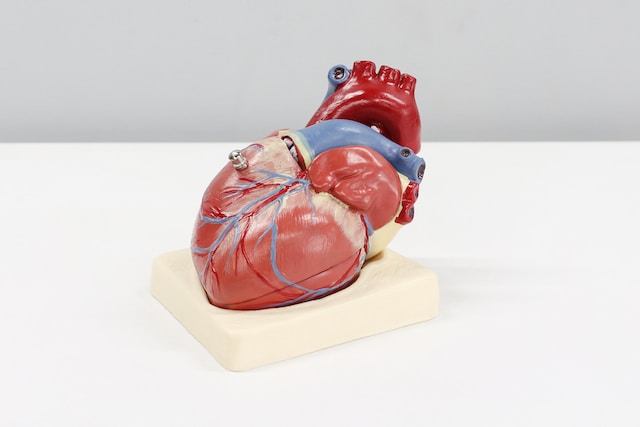 What is Congenital Heart Disease?